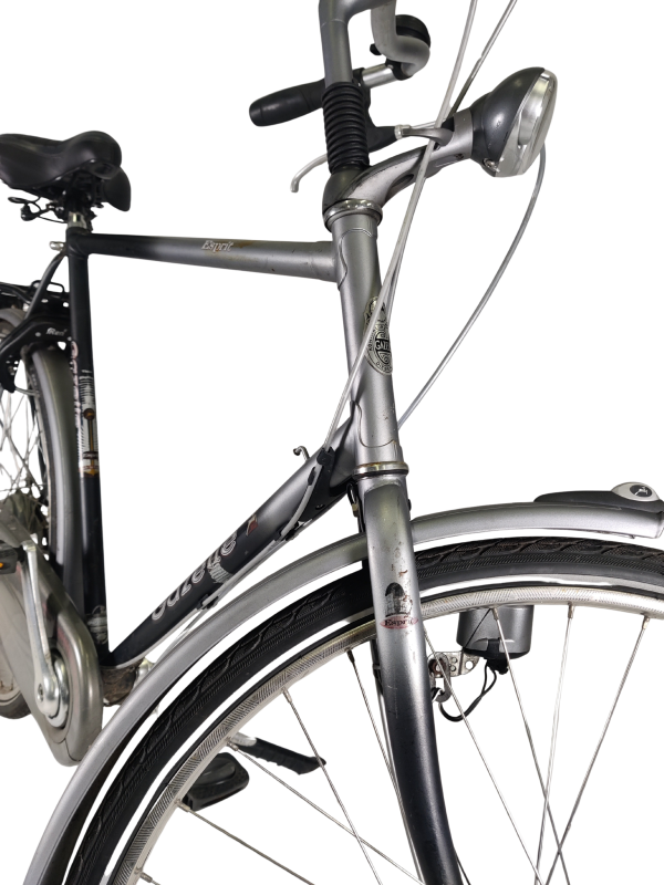 IMG_20251210_172943 - Edited Gazelle Esprit