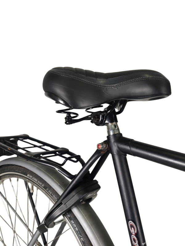 IMG_20251210_172949 - Edited Gazelle Esprit