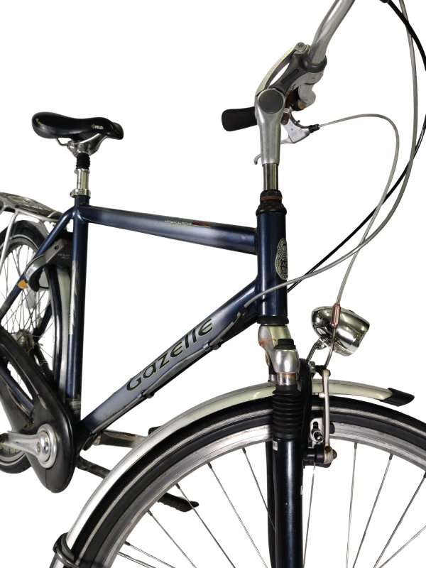 IMG_20251210_173554 - Edited Gazelle Orange