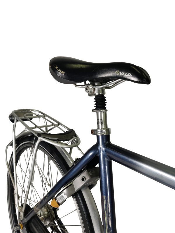 IMG_20251210_173556 - Edited Gazelle Orange