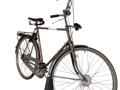 IMG_20251210_173911 - Edited Gazelle Primeur