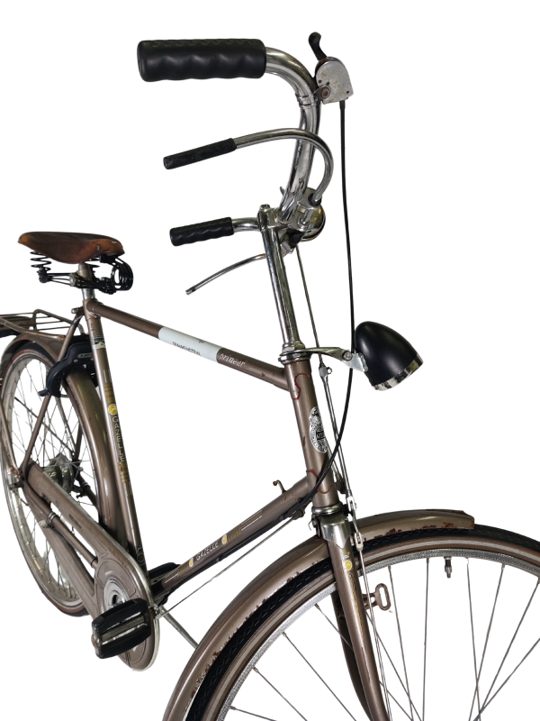 IMG_20251210_173918 - Edited Gazelle Primeur