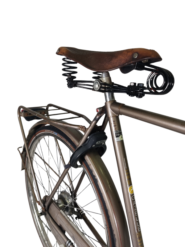 IMG_20251210_173922 - Edited Gazelle Primeur