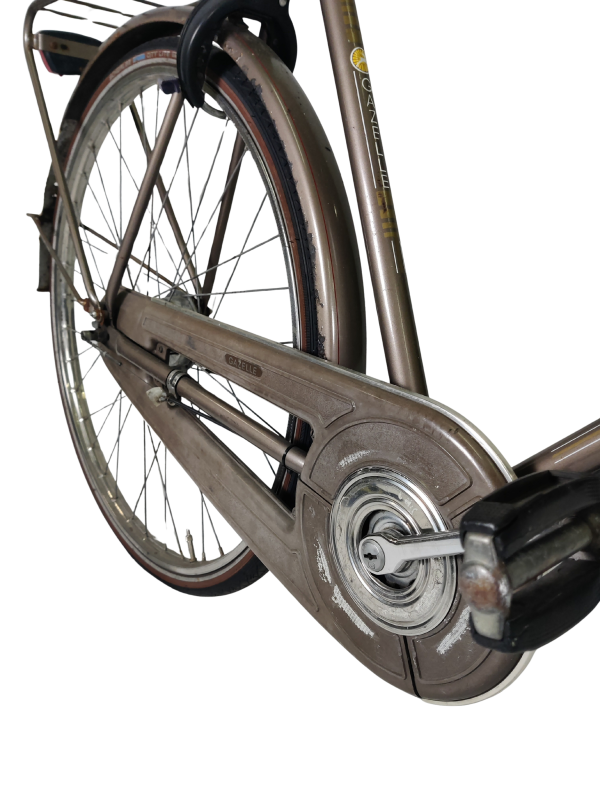 IMG_20251210_173926 - Edited Gazelle Primeur