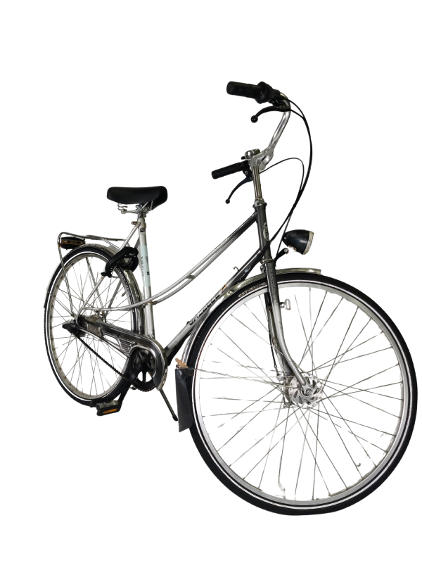 IMG_20251210_174213 - Edited Gezelle Tour de France